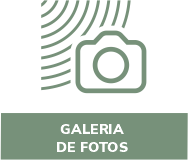 galeria-fotos